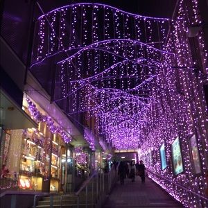 Meet your Posher, Liqun